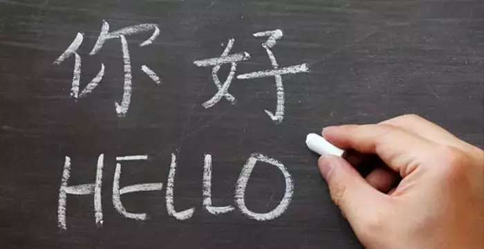 Chinese Language Courses: Foundations, Mechanisms, and Educational Context
