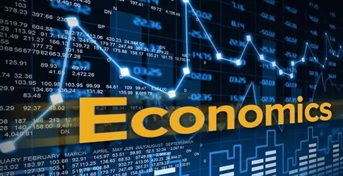 Economics Training: Foundations, Mechanisms, and Practical Applications