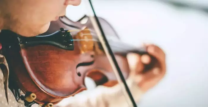 Violin Training: Fundamentals, Techniques, and Educational Approaches