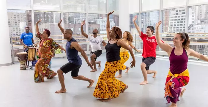 Dance Training: Concepts, Learning Processes, and Broader Context