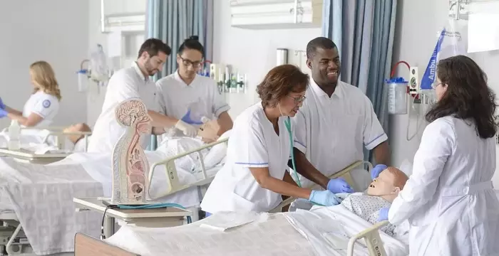 Understanding Nursing Training: Principles, Structure, and Mechanisms