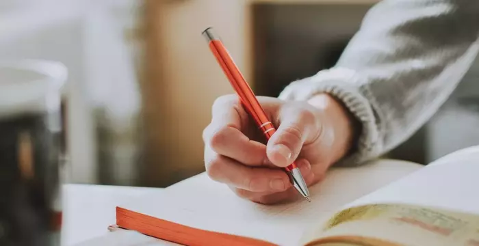 Writing Coaching Training: Foundations, Methods, and Educational Perspectives