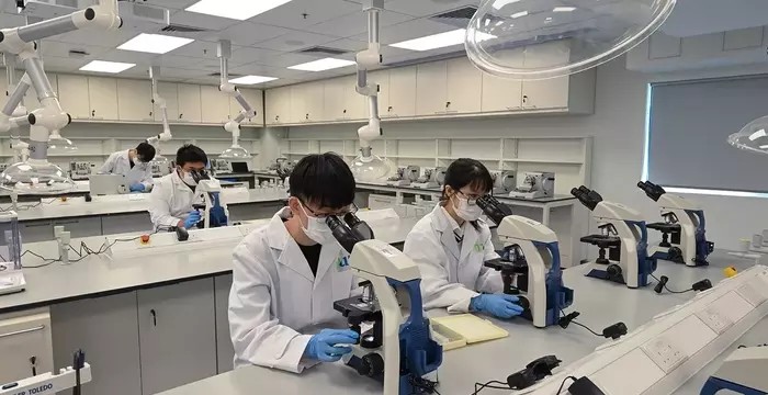 Medical Laboratory Training — Scientific Foundations, Operational Mechanisms, and Analytical Context